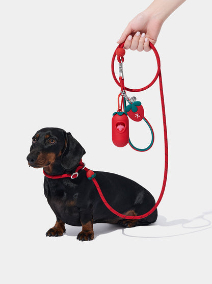 AURA Lite Walk Kit - BERRY — main product photo