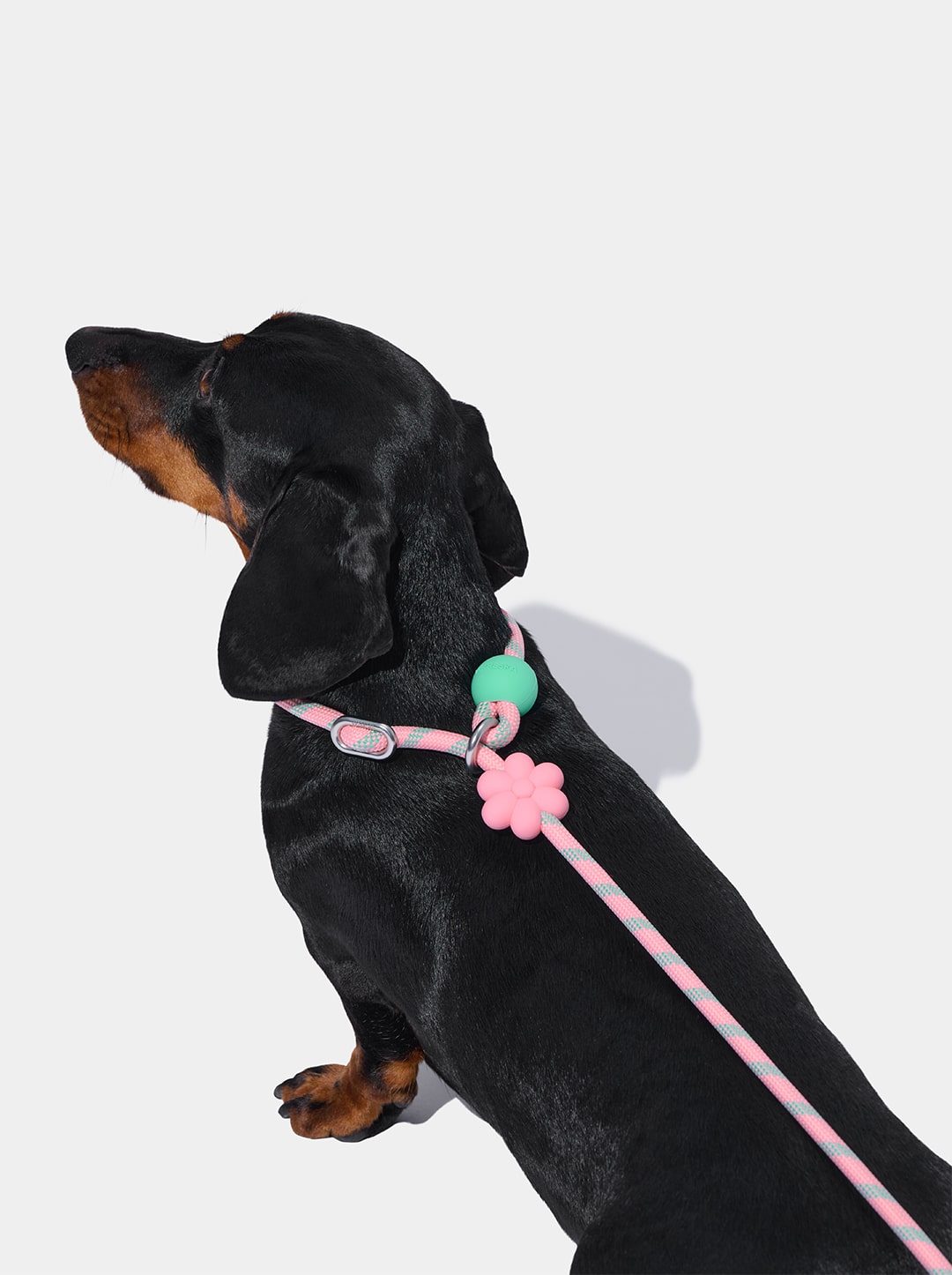 AURA Lite Walk Kit - MEADOW — detail shot
