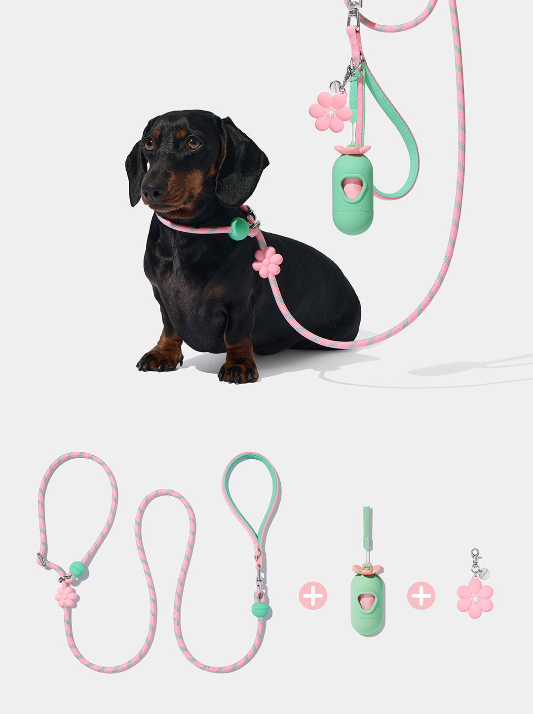 AURA Lite Walk Kit - MEADOW — styled in a home setting
