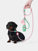 AURA Lite Walk Kit - MEADOW — main product photo