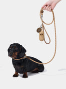 AURA Lite Walk Kit - MOCHA — main product photo