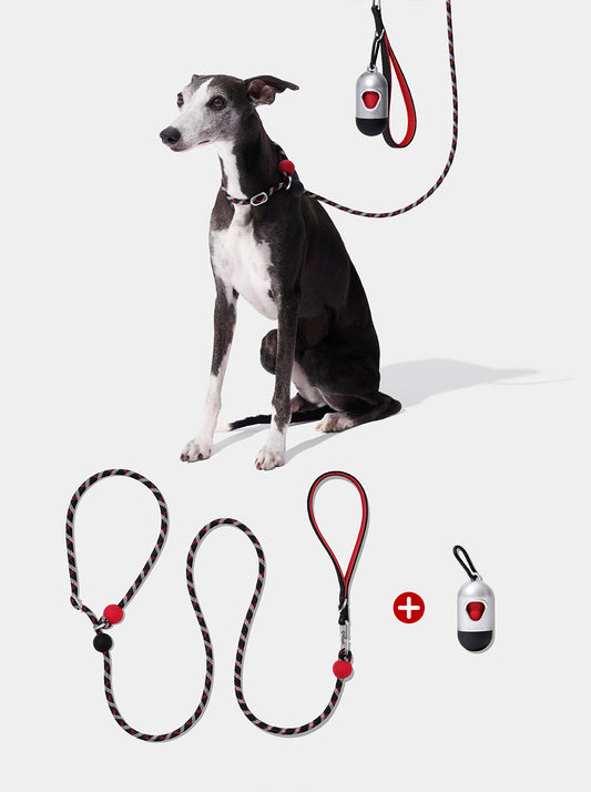 AURA Lite Walk Kit - ORBIT — styled in a home setting