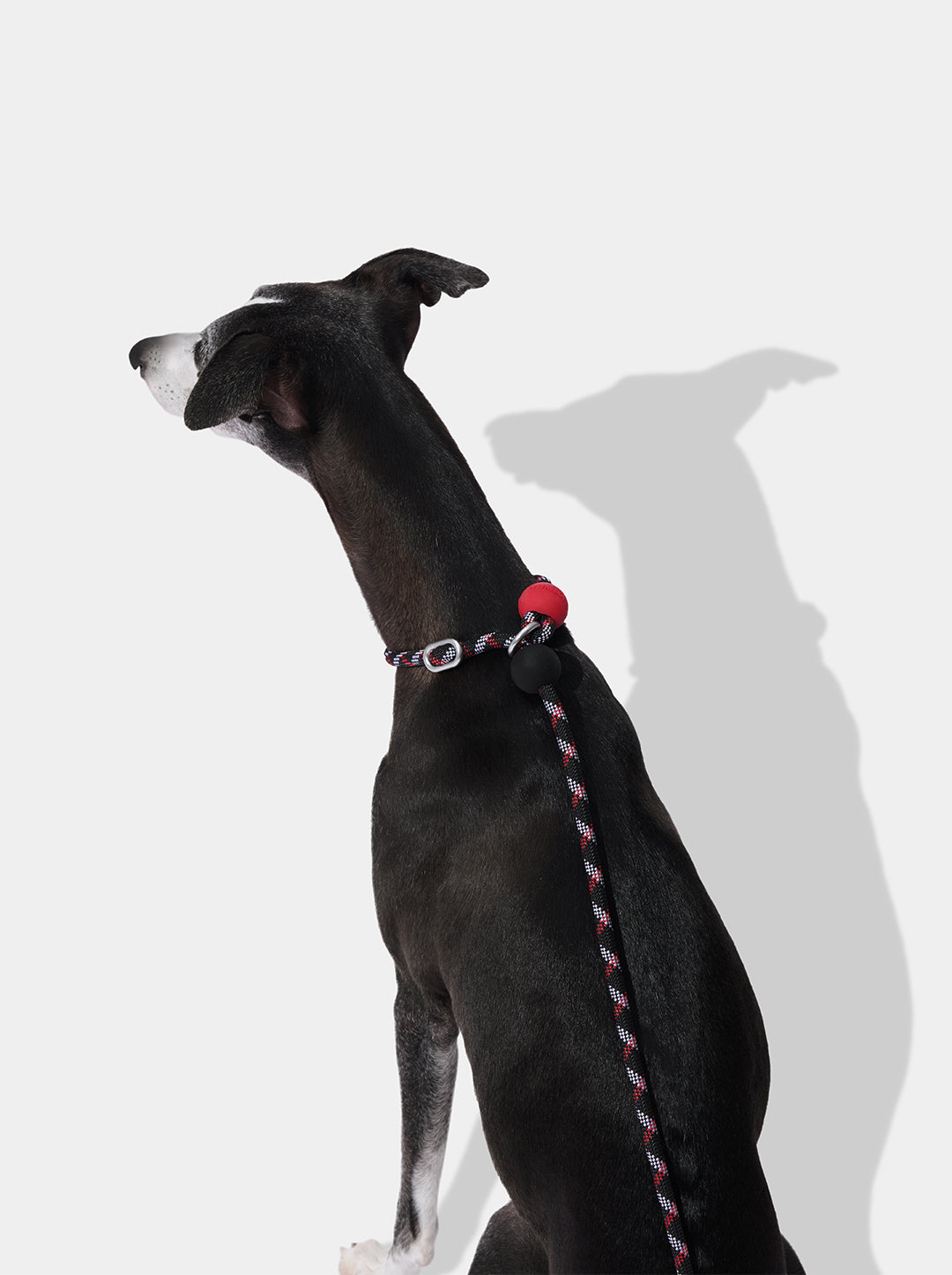 AURA Lite Walk Kit - ORBIT — in use
