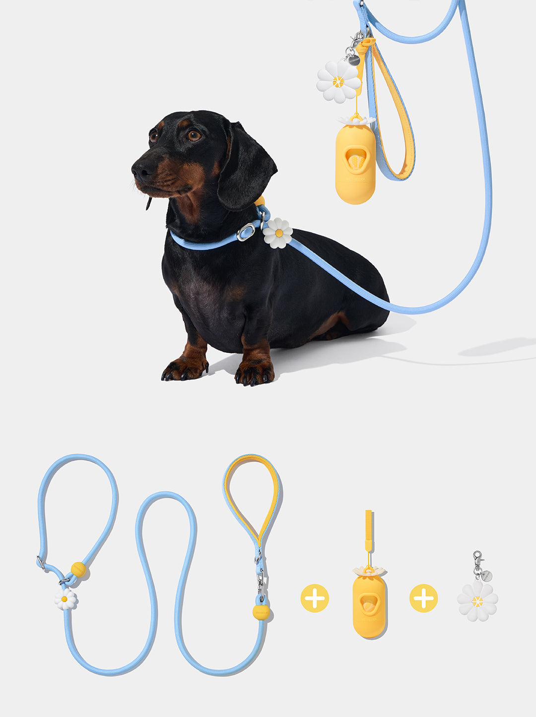 AURA Lite Walk Kit - PETAL — styled in a home setting