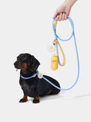 AURA Lite Walk Kit - PETAL — main product photo