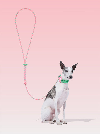 AURA Premium Classic Rope Leash - MEADOW — styled in a home setting