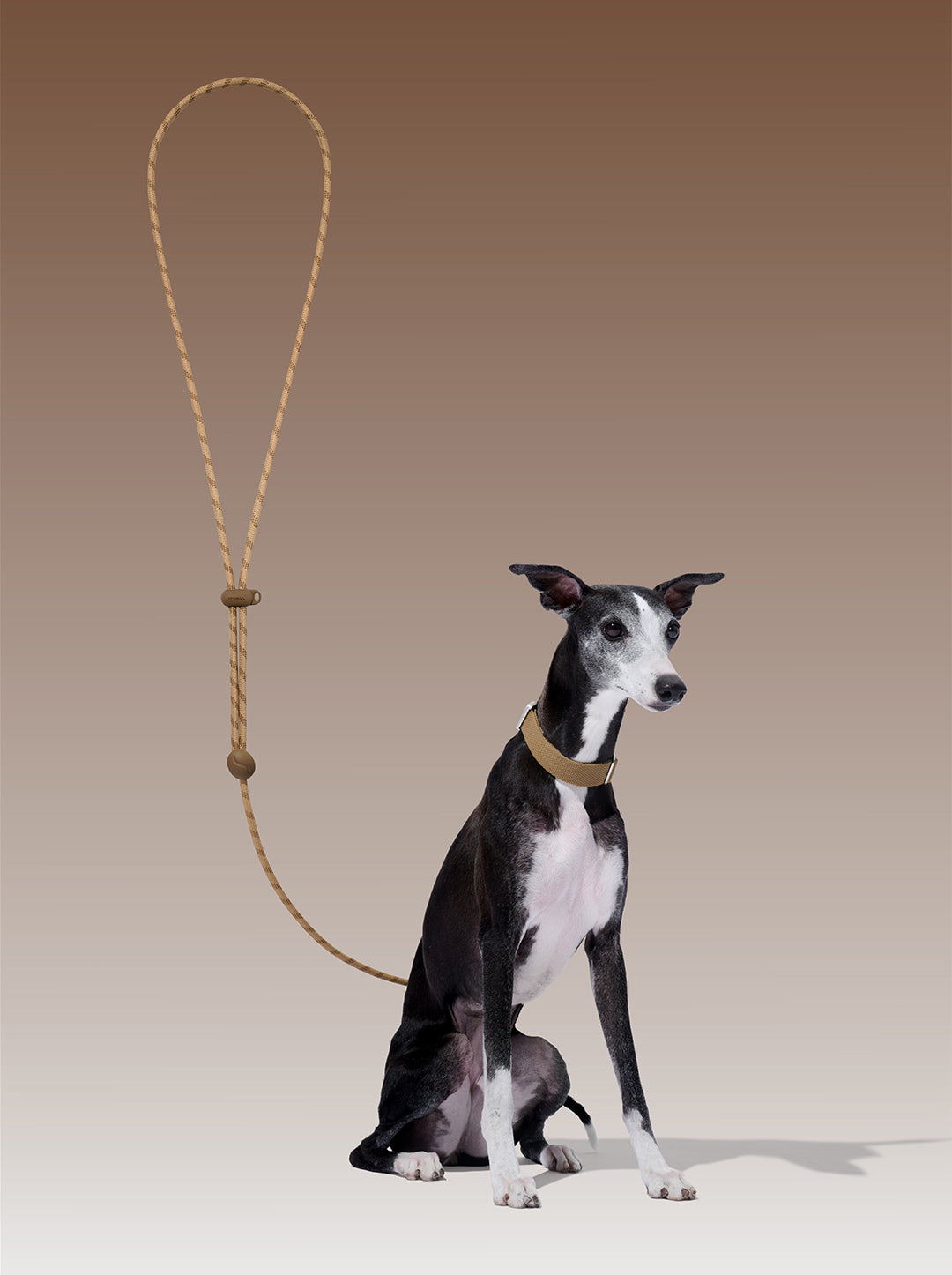 AURA Premium Classic Rope Leash - MOCHA — styled in a home setting