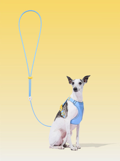 AURA Premium Classic Rope Leash - PETAL — styled in a home setting