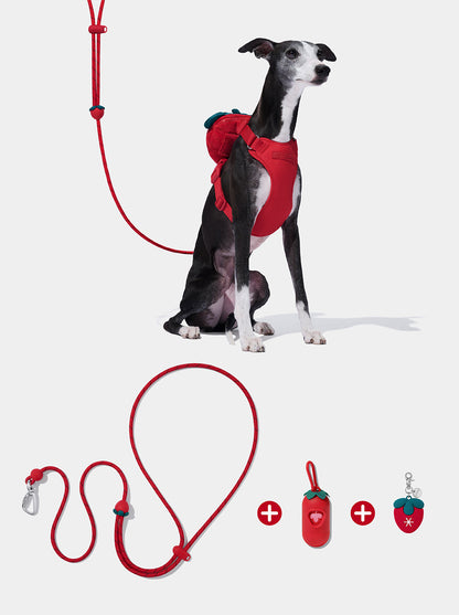 AURA Premium Classic Rope Leash Walk Kit - BERRY — styled in a home setting