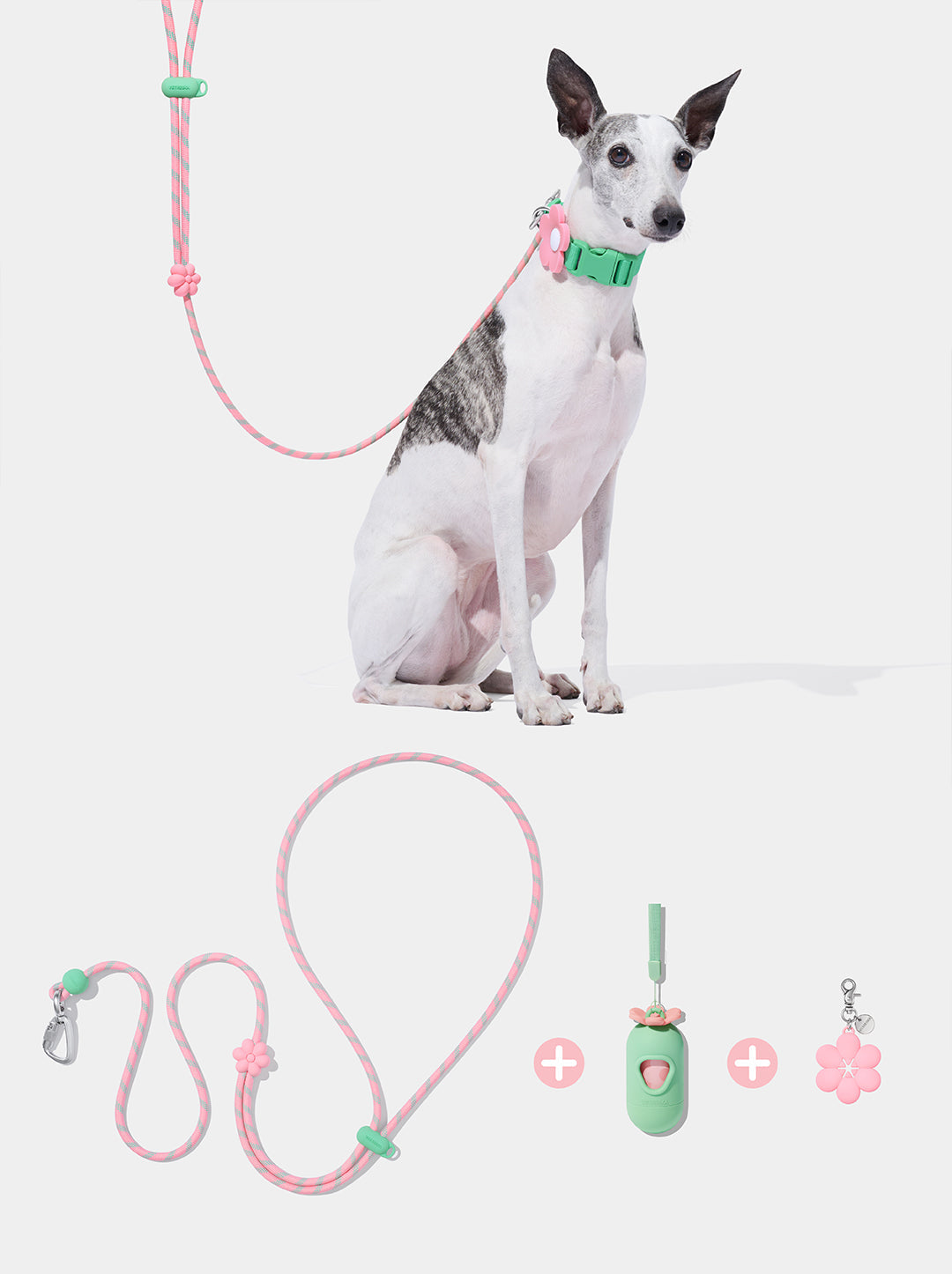 AURA Premium Classic Rope Leash Walk Kit - MEADOW — styled in a home setting