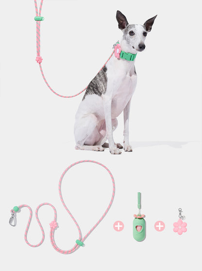AURA Premium Classic Rope Leash Walk Kit - MEADOW — styled in a home setting