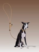 AURA Premium Classic Rope Leash Walk Kit - MOCHA — main product photo