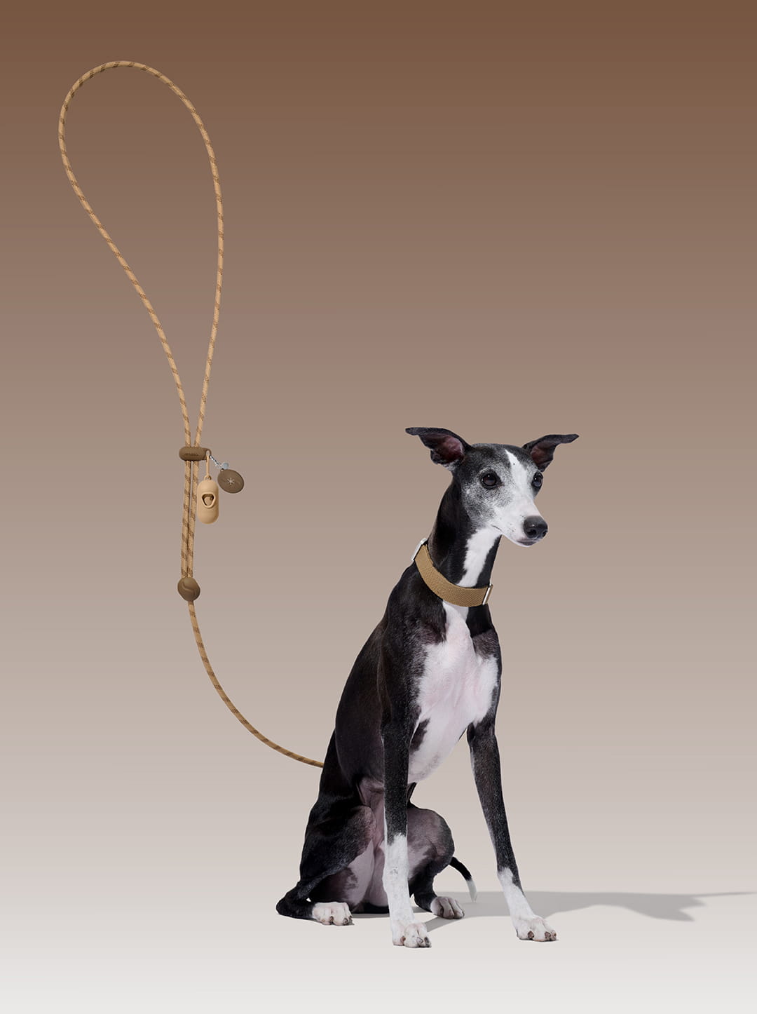 AURA Premium Classic Rope Leash Walk Kit - MOCHA — main product photo