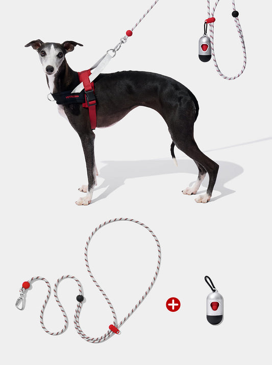 AURA Premium Classic Rope Leash Walk Kit - ORBIT — styled in a home setting