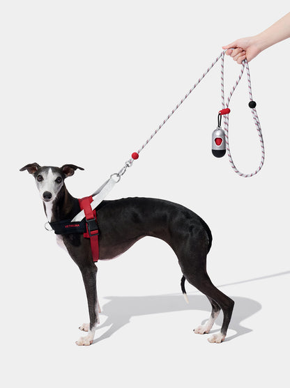 AURA Premium Classic Rope Leash Walk Kit - ORBIT — main product photo