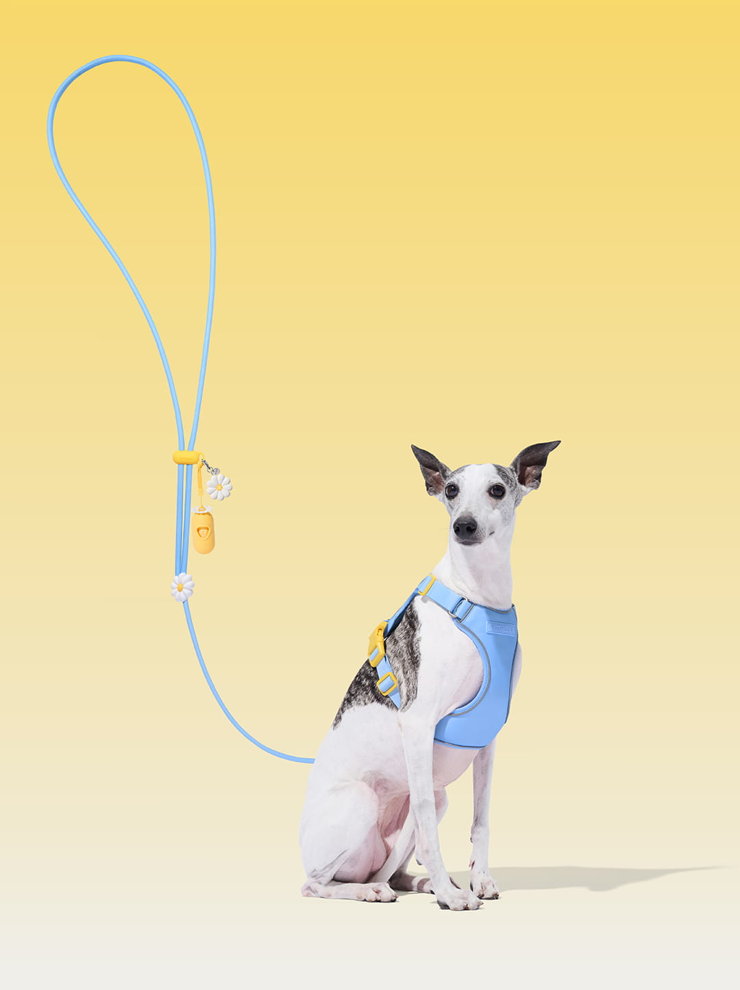 AURA Premium Classic Rope Leash Walk Kit - PETAL — main product photo