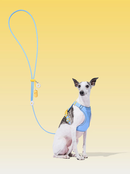 AURA Premium Classic Rope Leash Walk Kit - PETAL — main product photo