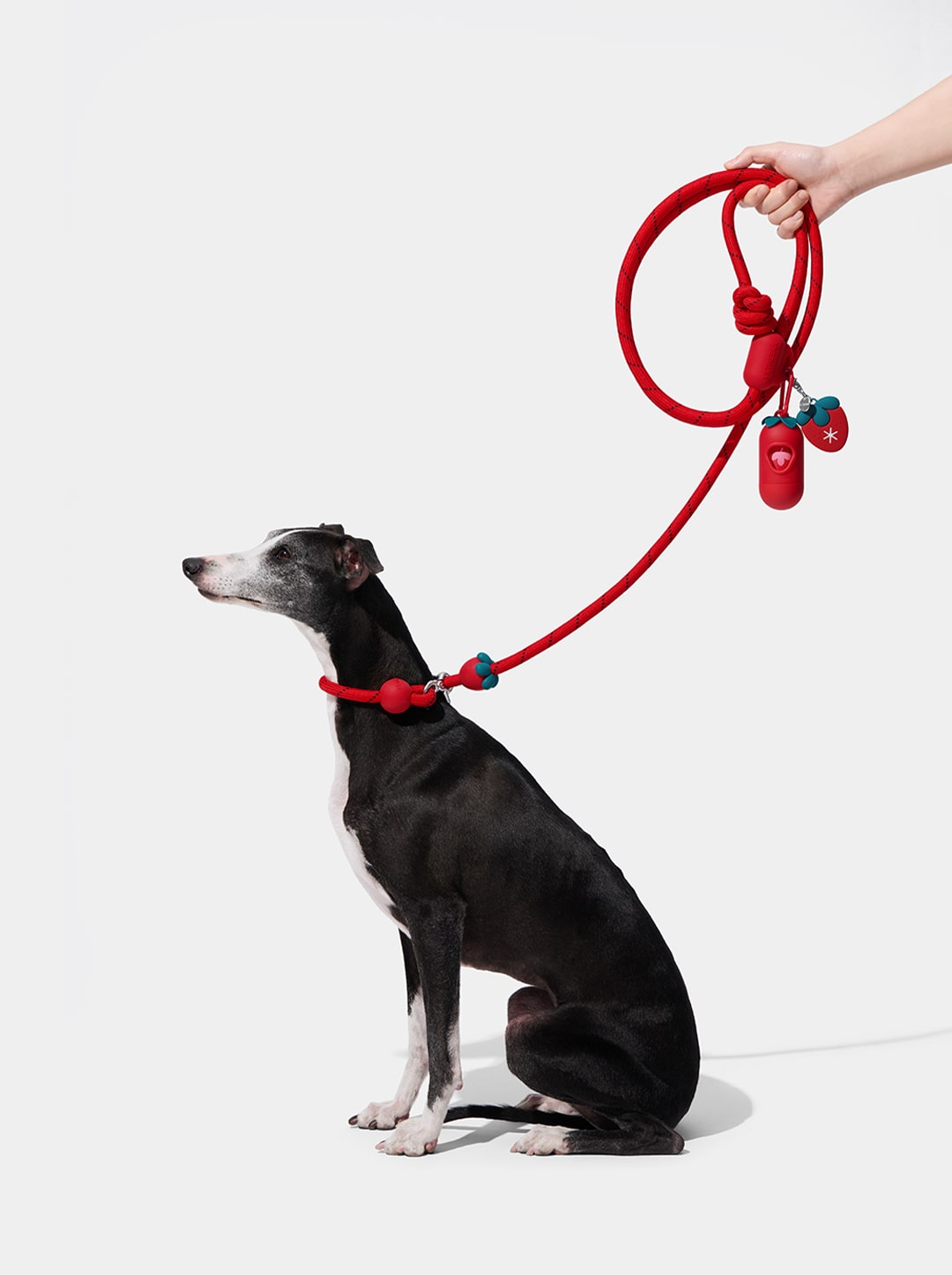 AURA WALK KIT - BERRY — main product photo