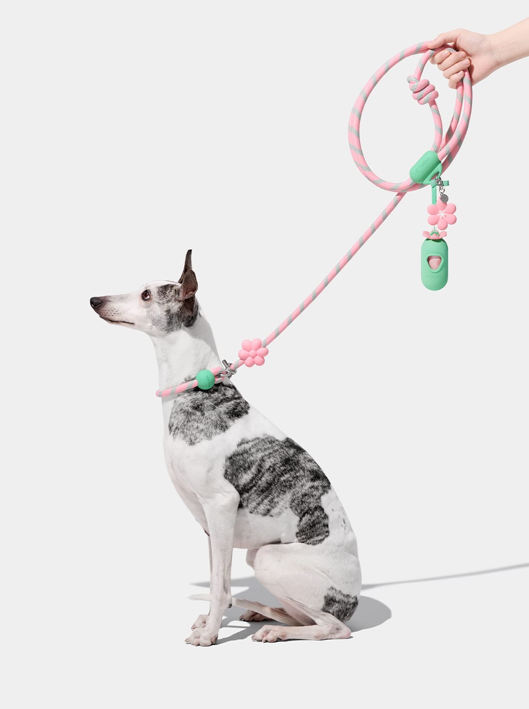 AURA WALK KIT - MEADOW — main product photo