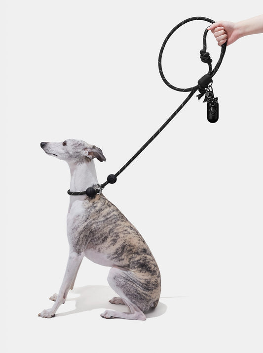 AURA WALK KIT – NOIR — main product photo