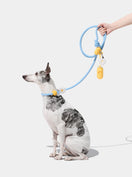AURA WALK KIT - PETAL — main product photo