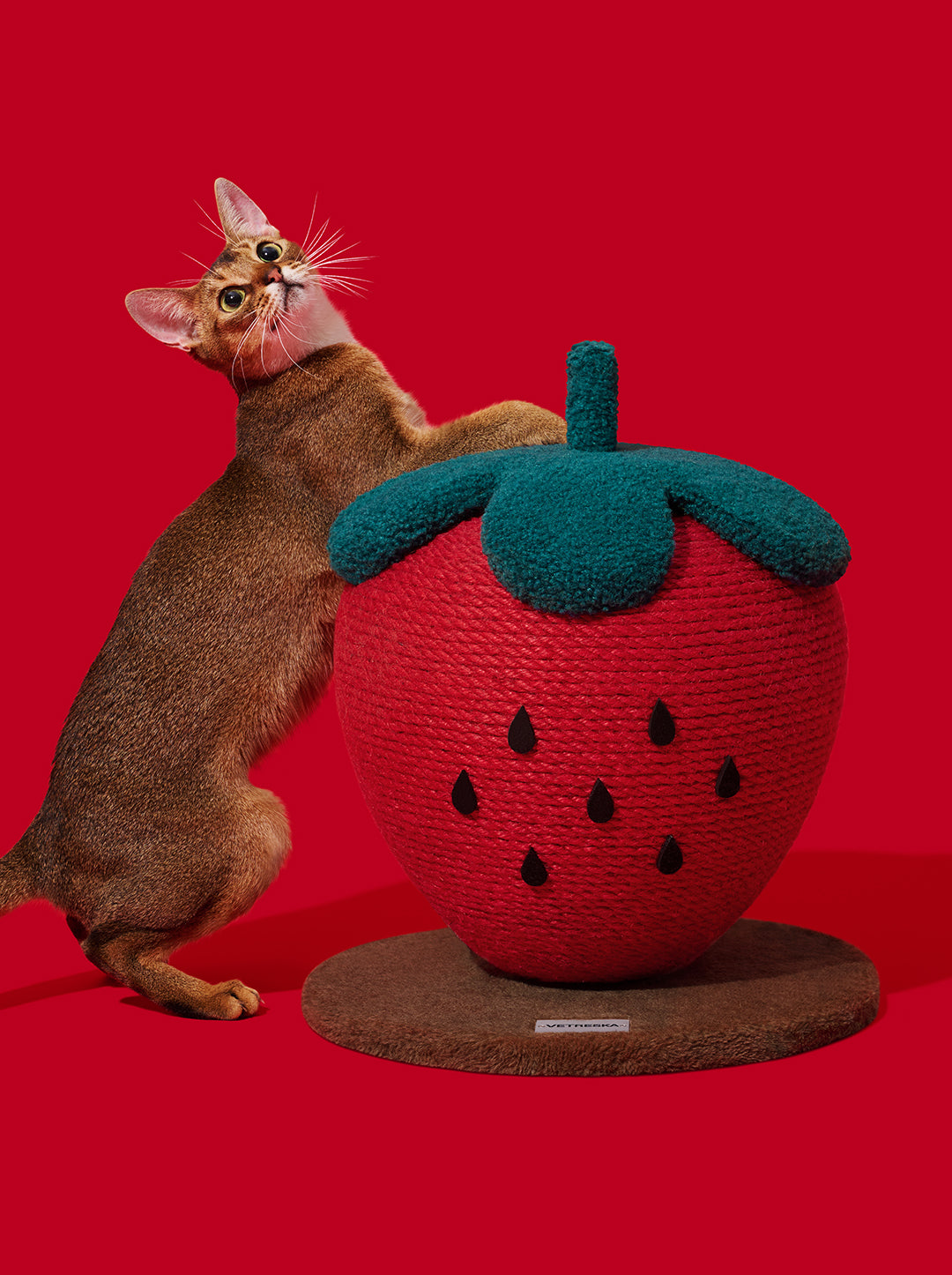 BERRY Cat Scratching Ball — close-up detail