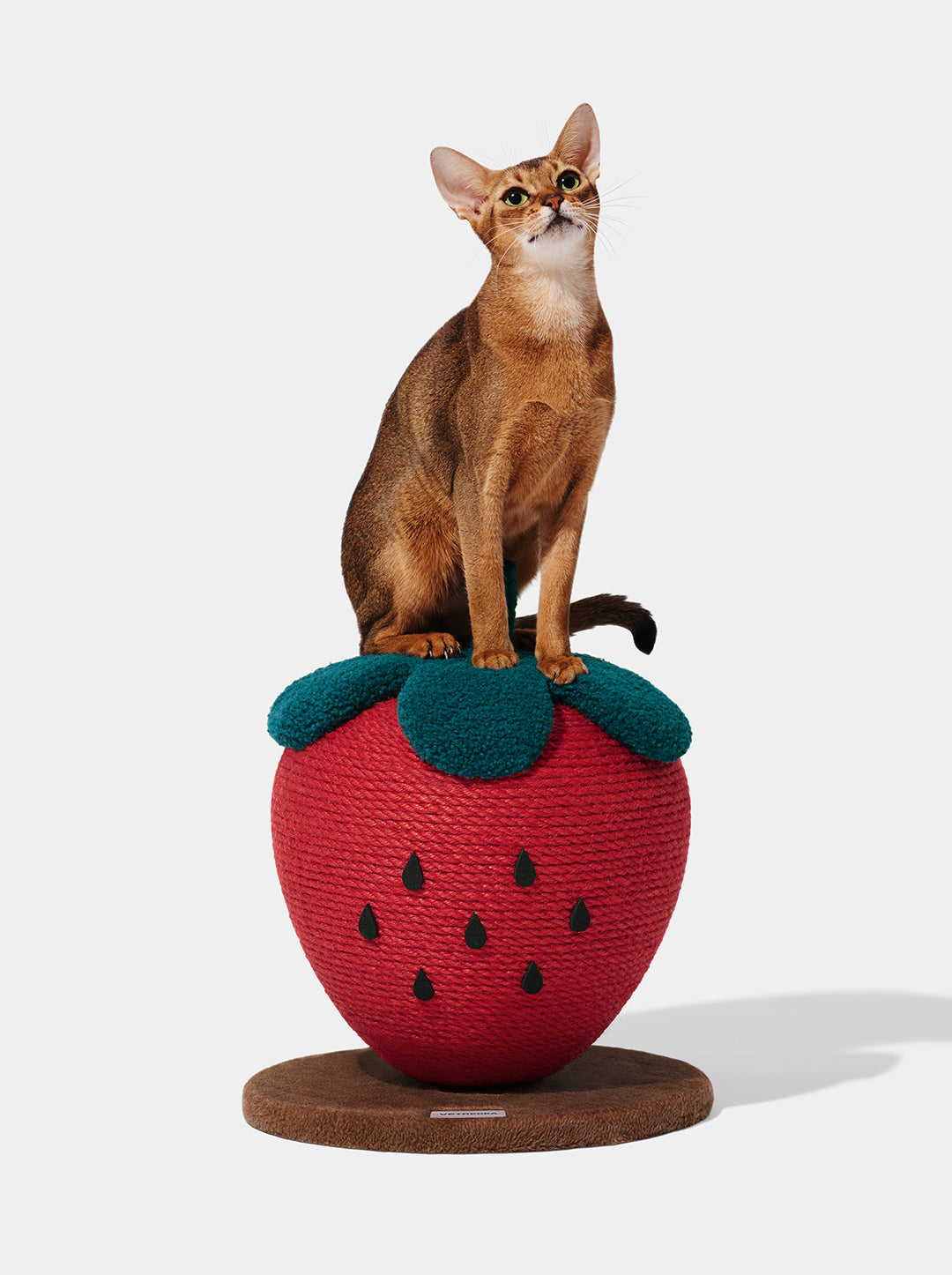 BERRY Cat Scratching Ball — alternative angle