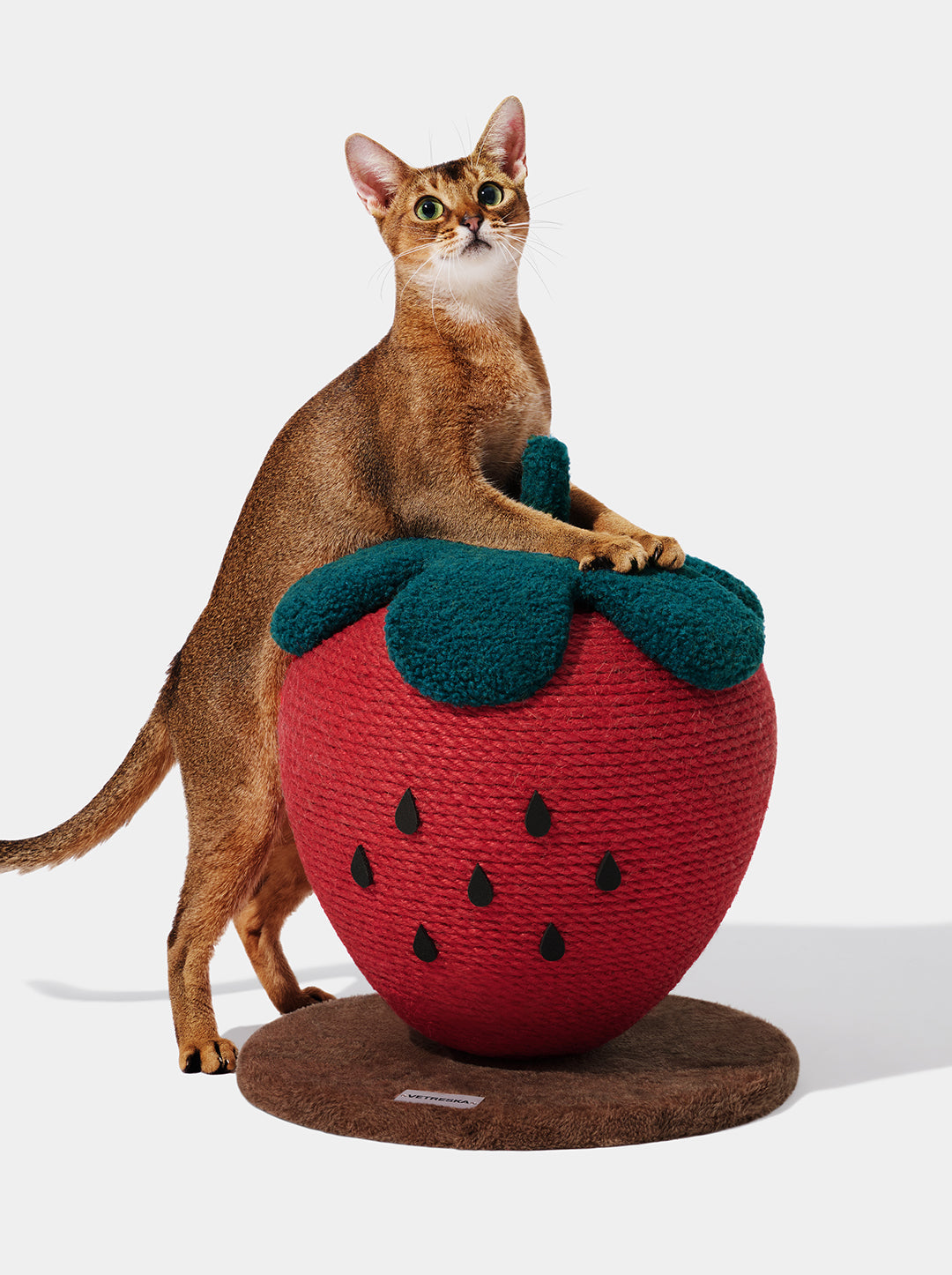 BERRY Cat Scratching Ball — main product photo
