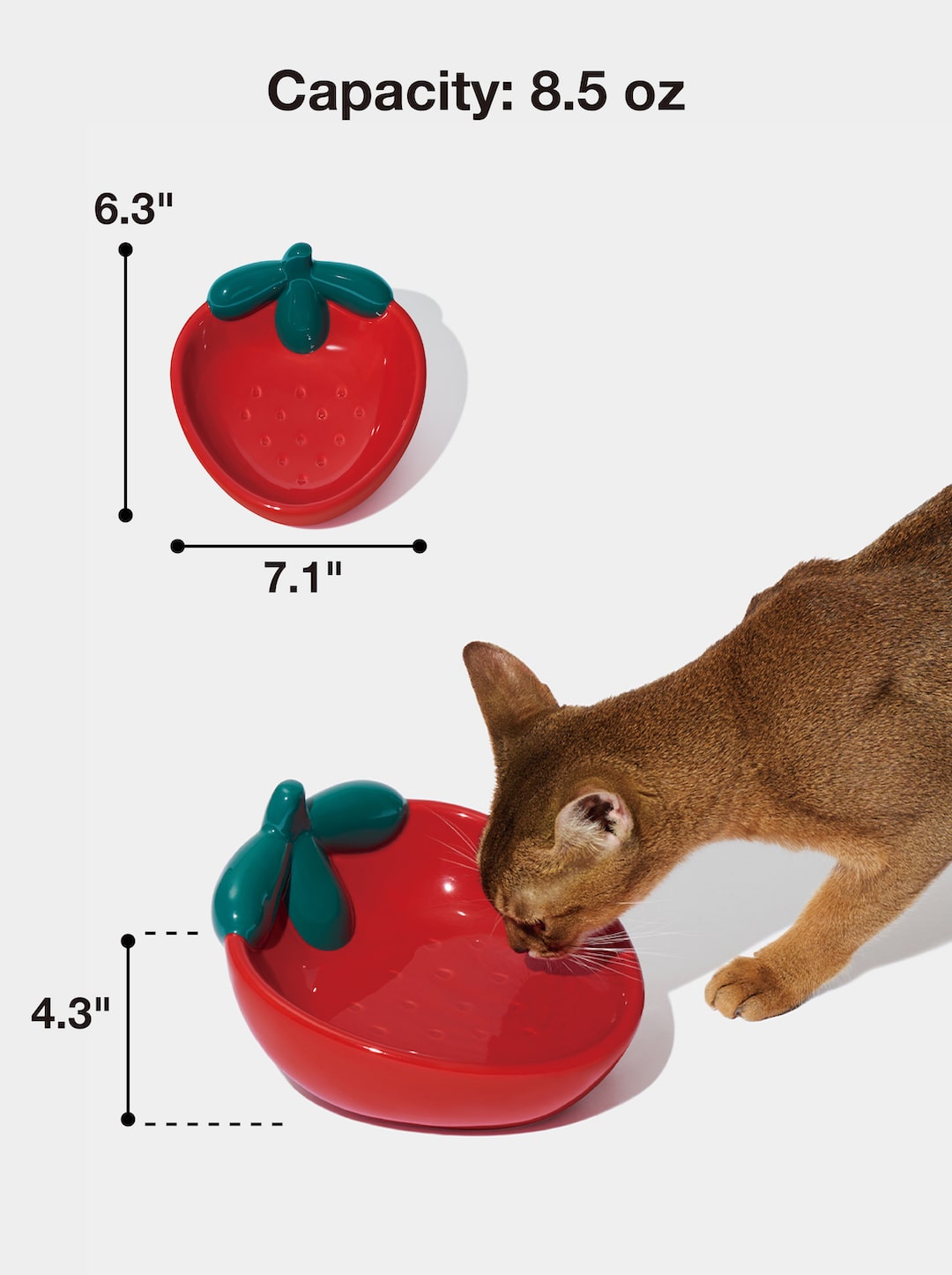 BERRY Ceramic Pet Bowl (2) — scale reference