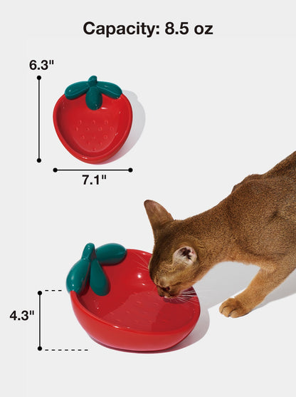 BERRY Ceramic Pet Bowl (2) — scale reference