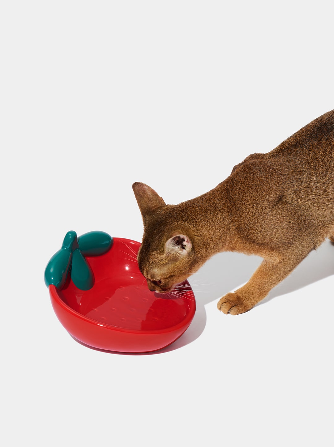 BERRY Ceramic Pet Bowl (3) — detail shot