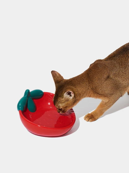BERRY Ceramic Pet Bowl (3) — detail shot