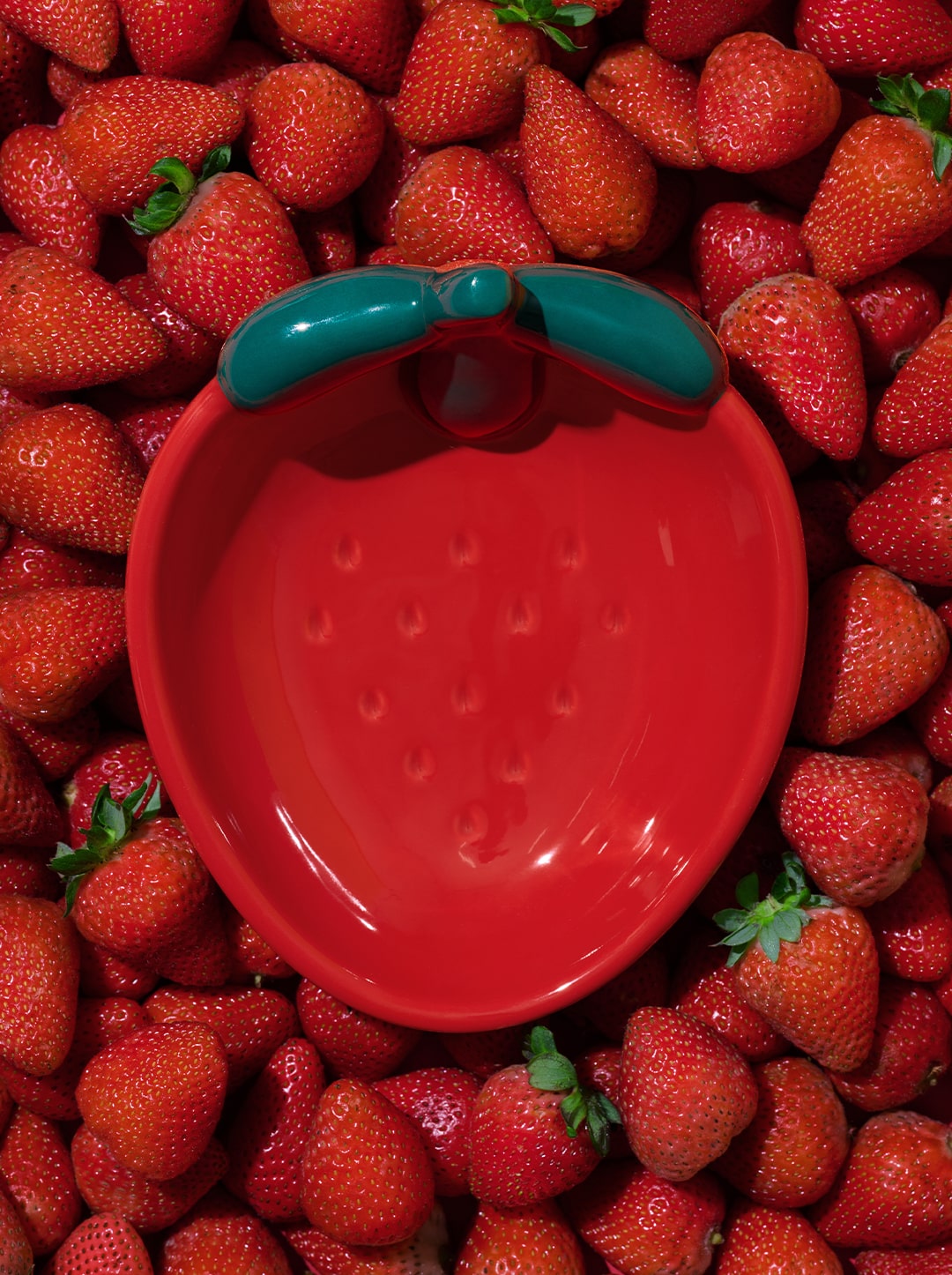 BERRY Ceramic Pet Bowl (3) — styled in a home setting