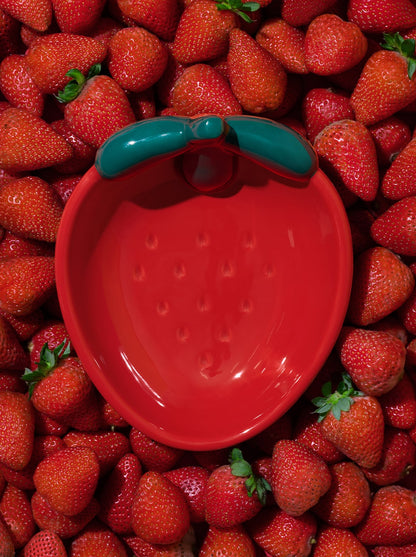 BERRY Ceramic Pet Bowl (3) — styled in a home setting