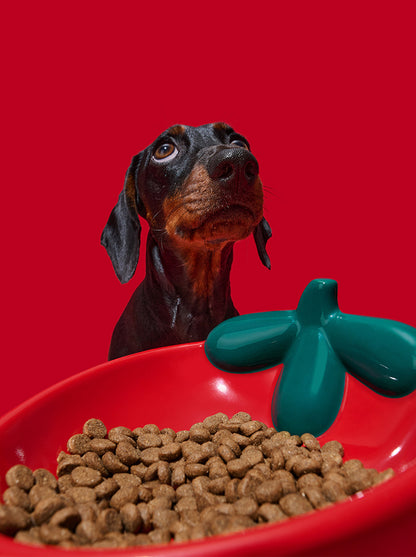 BERRY Ceramic Pet Bowl — in use