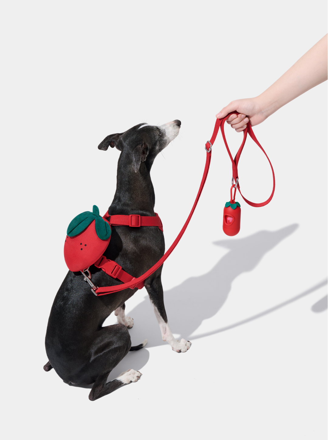 BERRY Pet Backpack, Harness & Leash Set — 2 — detail shot