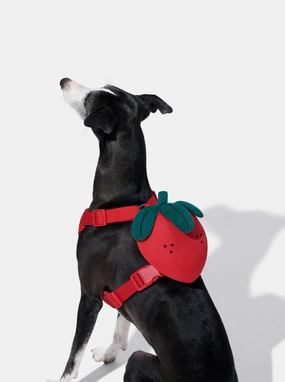 BERRY Pet Backpack, Harness & Leash Set — 2 — main product photo