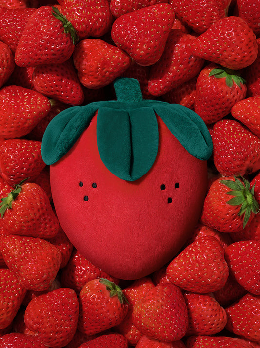 BERRY Pet Backpack, Harness & Leash Set — BERRY — styled in a home setting
