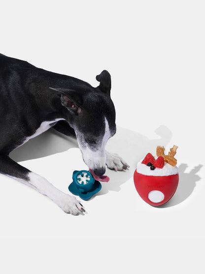 BERRY Pet Treat Dispensing Toy — scale reference