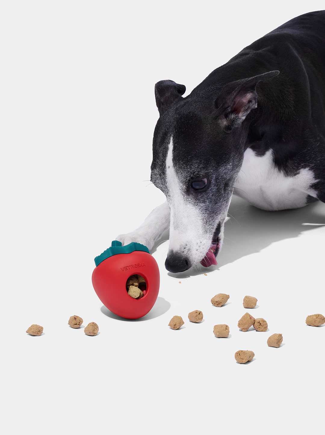 BERRY Pet Treat Dispensing Toy — alternative angle