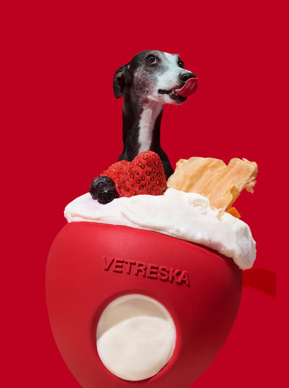 BERRY Pet Treat Dispensing Toy — main product photo