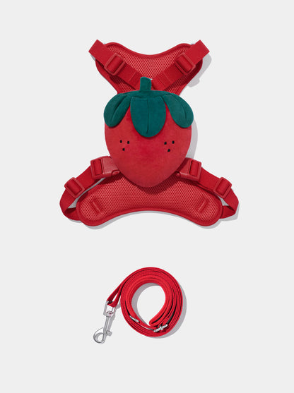 BERRY Pet Walk Kit — detail shot