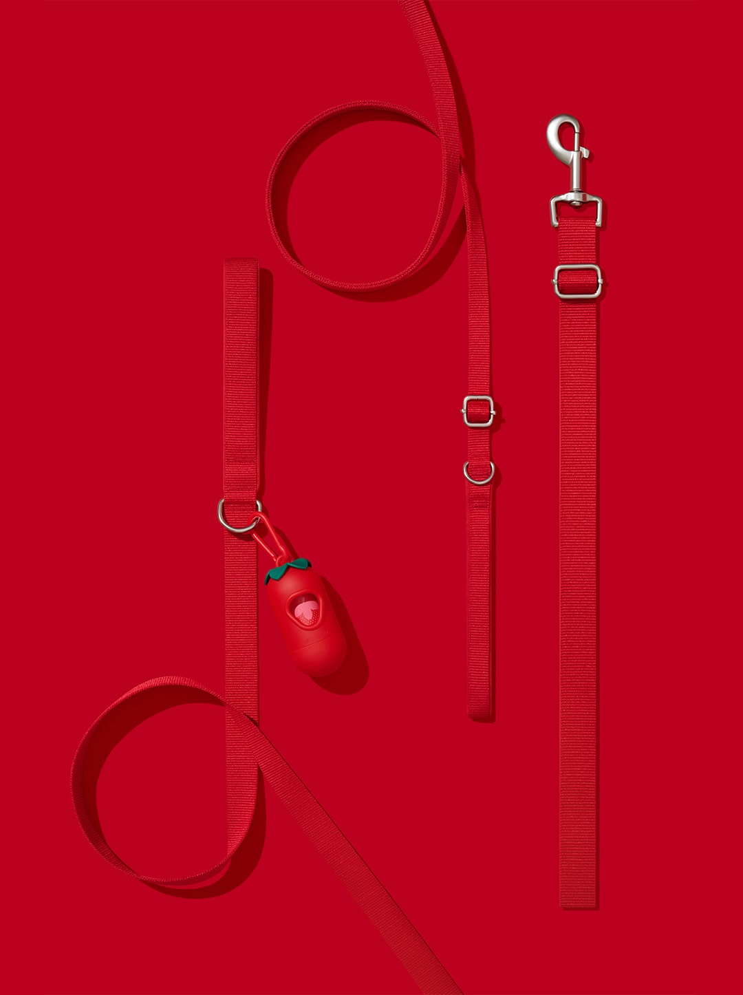 BERRY Pet Walk Kit — alternative angle