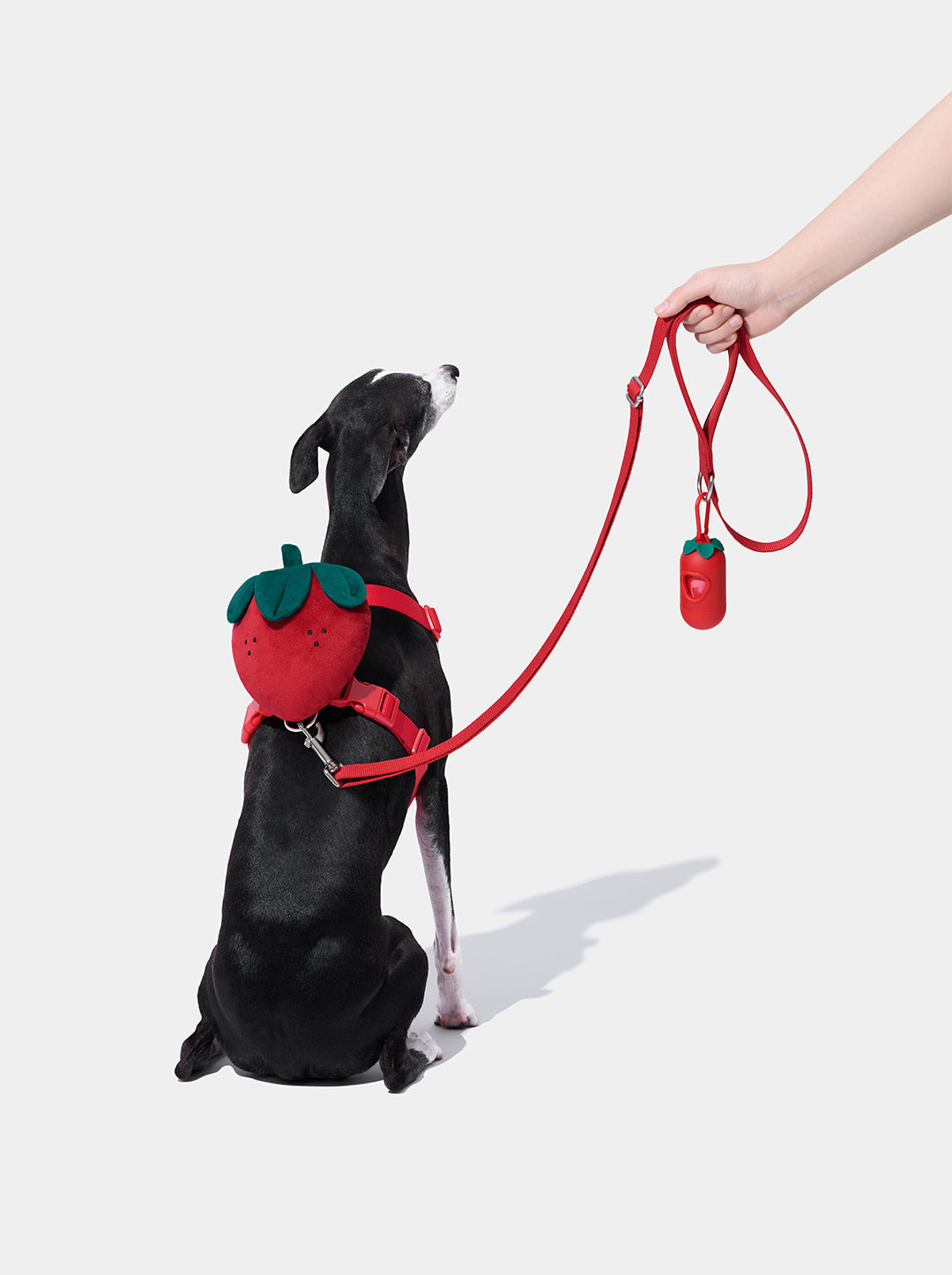 BERRY Pet Walk Kit — main product photo
