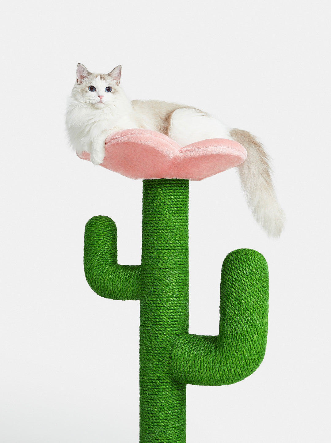 Blooming DUNE Cat Tree — detail shot