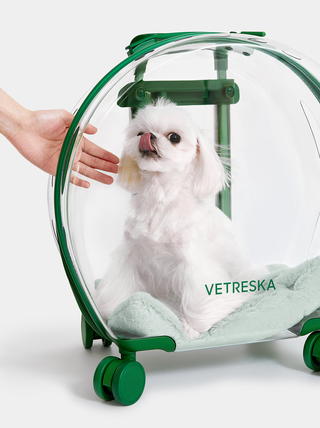 Bubble Pet Carrier — Green — in use
