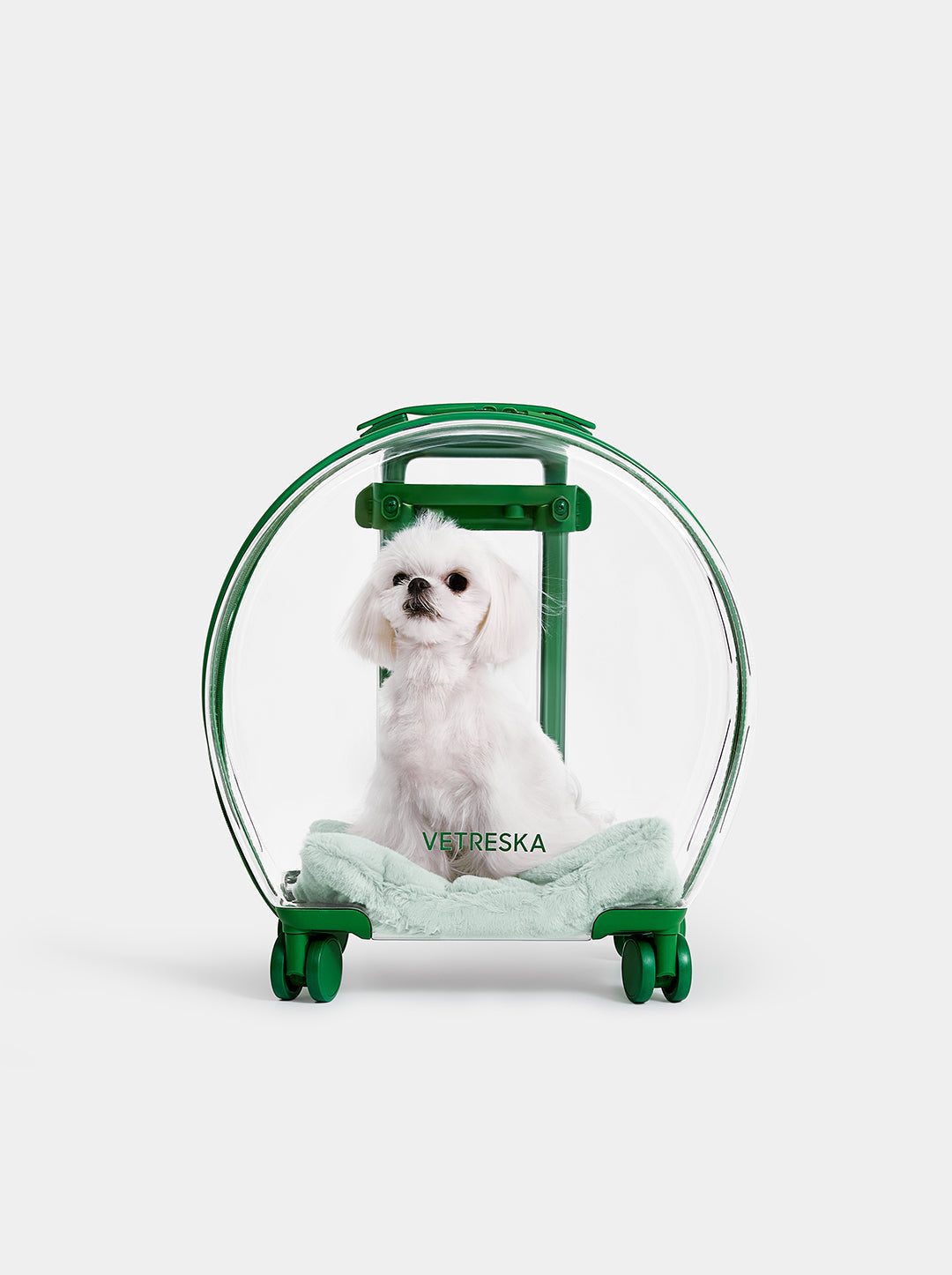 Bubble Pet Carrier — Green — main product photo