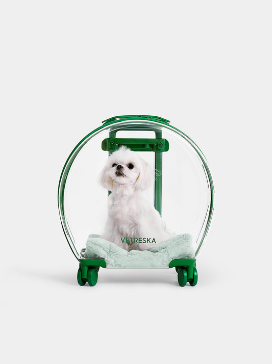 Bubble Pet Carrier — Green — main product photo