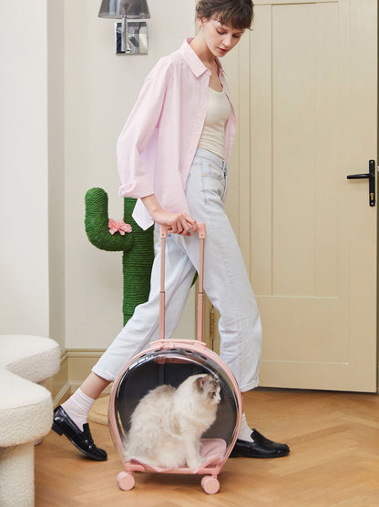 Bubble Pet Carrier — Pink — styled in a home setting