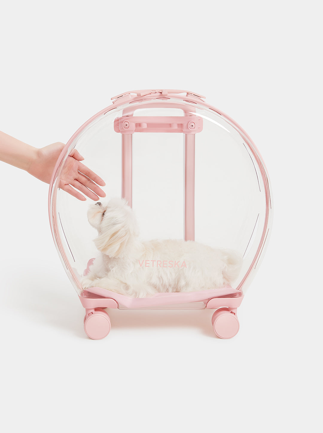 Bubble Pet Carrier — Pink — in use